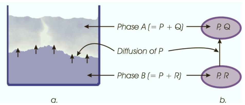 Diffusion